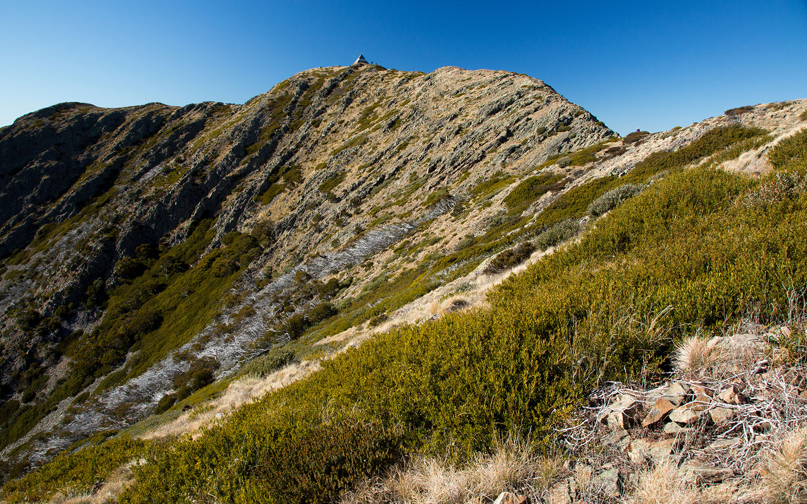 iltis-ski-club-summer-03